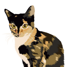 Load image into Gallery viewer, Cat Digital Art