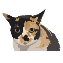 Load image into Gallery viewer, Cat Digital Art