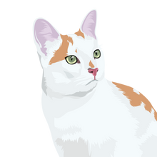 Load image into Gallery viewer, Cat Digital Art