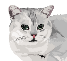 Load image into Gallery viewer, Cat Digital Art