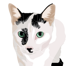 Load image into Gallery viewer, Cat Digital Art