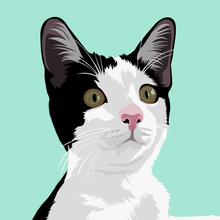 Load image into Gallery viewer, Cat Digital Art