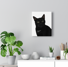 Load image into Gallery viewer, Custom Cat on Canvass - Rectangular