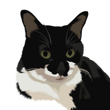 Load image into Gallery viewer, Cat Digital Art