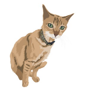 Cat Digital Art